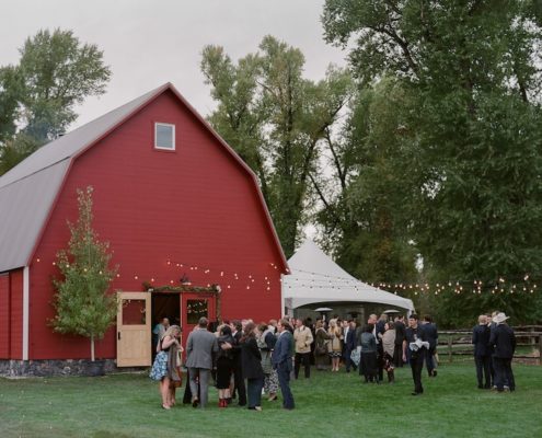 Century Tent & Bistro Lighting