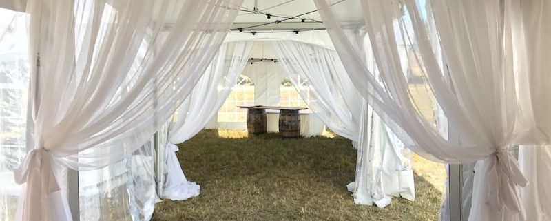 Custom Draped Entrance