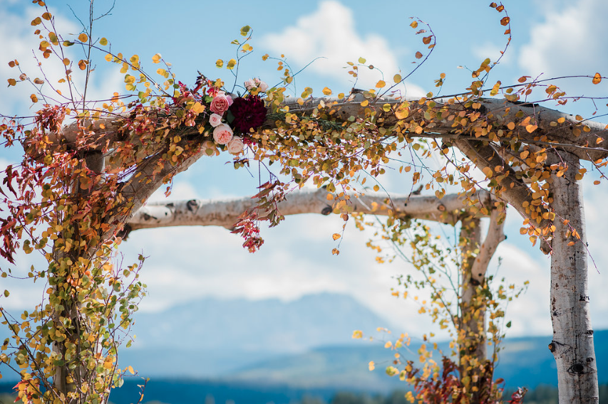 Aspen Tree Arbor Wedding Arch