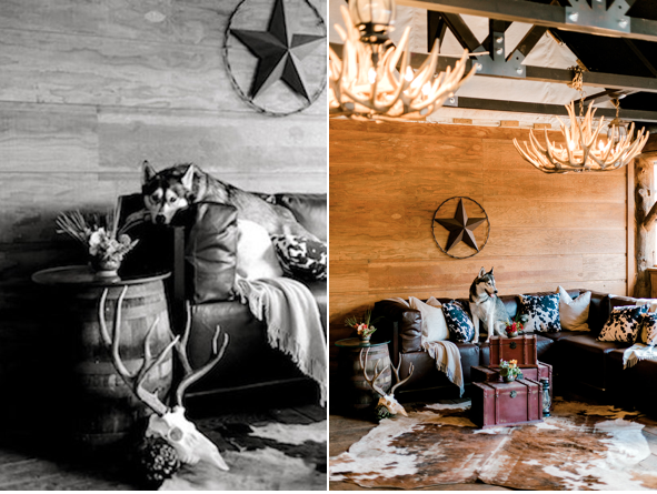 Piney River Ranch Styled Shoot with Huskey Dog