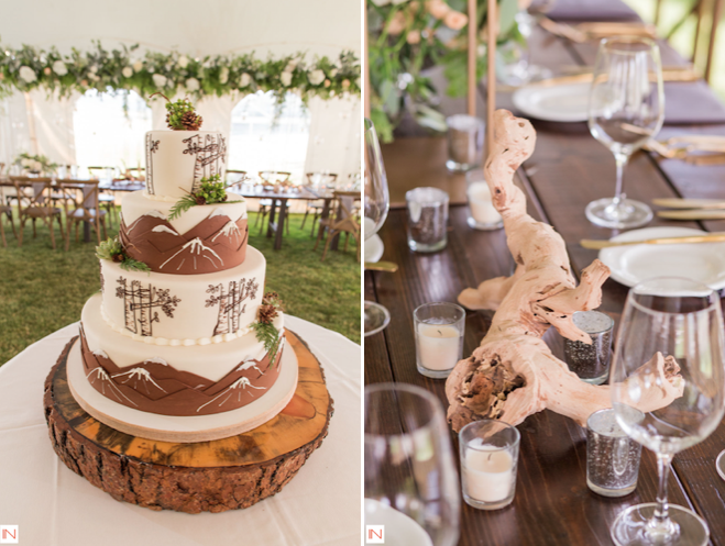 Colorado Mountain Wedding Cake & Driftwood Table