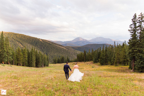Timber Ridge Wedding Views
