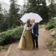 White Wedding Umbrella